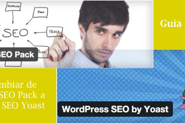 Wordpress SEO Yoast All In One SEO Pack